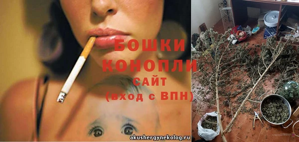 винт Бородино