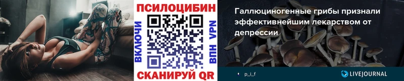 Псилоцибиновые грибы мицелий  Междуреченск 